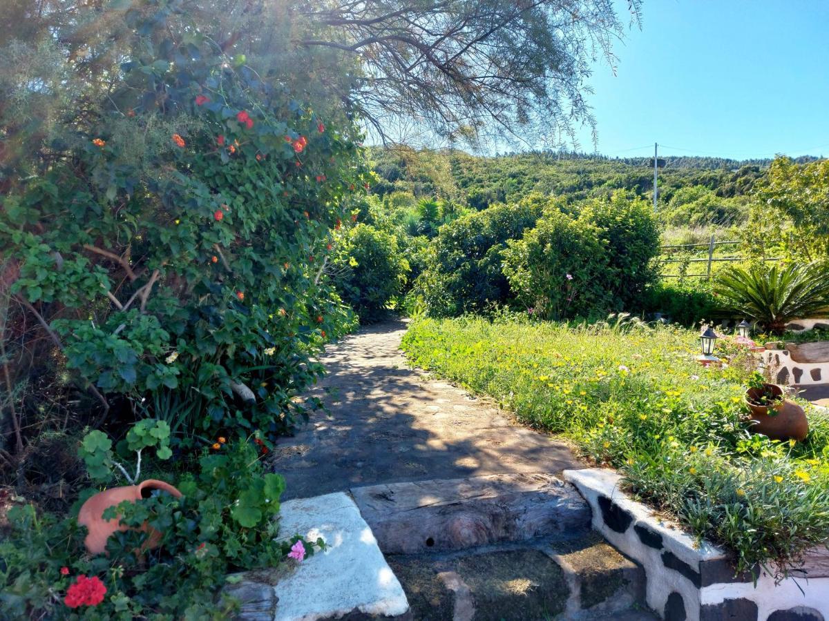 El Jaral Villa Garafía Eksteriør billede